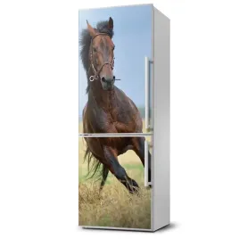 foto-magnes-na-lodowke-kon-na-polu-60x180