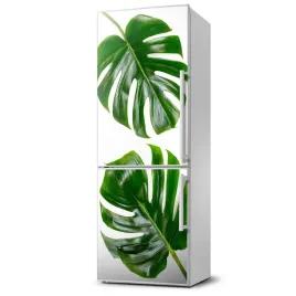 magnes-naklejka-tapeta-na-lodowke-monstera-60x180