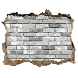 fotoobraz-dziura-na-sciane-ceglana-sciana-168x113