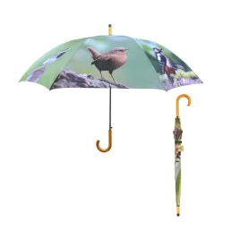parasolka-parasol-w-ptaki-duzy-automatyczny-nowoczesny-esschert-122cm