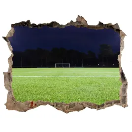 fototapeta-dziura-na-sciane-3d-murawa-pilkarska