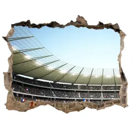 fototapeta-dziura-na-sciane-3d-stadion-francja