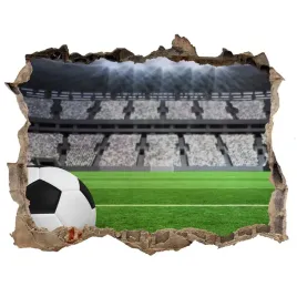 fototapeta-dziura-na-sciane-3d-pilka-na-stadionie