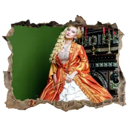 fototapeta-dziura-na-sciane-arystokratka-168x113
