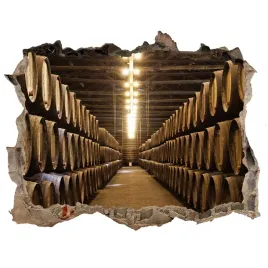 fototapeta-dziura-na-sciane-3d-winiarnia-w-porto
