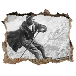 fototapeta-dziura-na-sciane-naklejka-narciarz