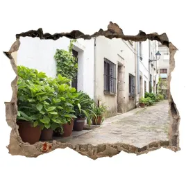 fototapeta-dziura-na-sciane-3d-urokliwa-uliczka