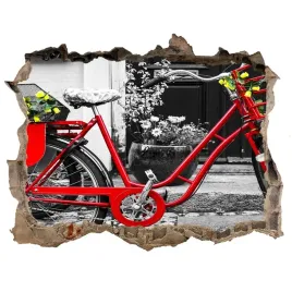 fototapeta-dziura-na-sciane-rower-miejski-168x113