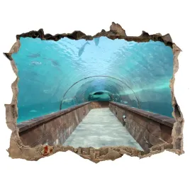 fototapeta-dziura-na-sciane-3d-tunel-akwarium