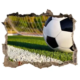 fototapeta-dziura-na-sciane-3d-pilka-w-bramce