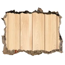 fototapeta-dziura-na-sciane-drewniane-tlo-168x113