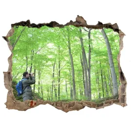 fototapeta-dziura-na-sciane-ornitolog-w-lesie