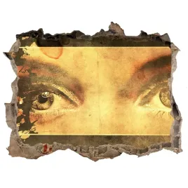 fototapeta-dziura-na-sciane-oczy-i-motyle-168x113
