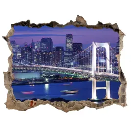 fototapeta-dziura-scienna-3d-most-w-tokio-168x113