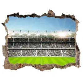 samoprzylepna-dziura-na-sciane-naklejka-stadion