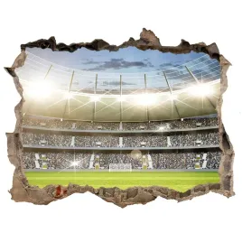 samoprzylepna-dziura-na-sciane-naklejka-stadion