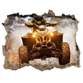 foto-zdjecie-dziura-scienna-naklejka-quad-168x113