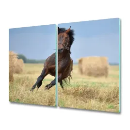 plyta-ochronna-na-indukcje-kon-w-galopie-2x30x52