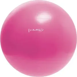 pilka-gimnastyczna-fitness-hms-yb01n-55cm-rozowa