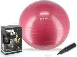 pilka-gimnastyczna-fitness-hms-yb01n-65cm-plum