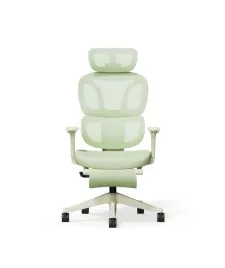 fotel-biurowy-ergonomiczny-zielony-z-podnozkiem-poduszka-miekki-flexispot