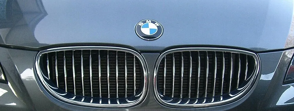 chromowane-nerki-atrapa-grill-bmw-e60-e61-bmw-5