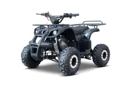 pojazd-quad-spalinowy-wildpeak-110cc-czarny-45-km-h-e-start