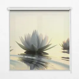 gotowa-foto-roleta-lilie-wodne-na-wymiar-100x100cm