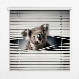 wolnowiszaca-foto-roleta-z-nadrukiem-koala-150x140