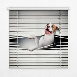 foto-roleta-do-sciany-lub-sufitu-pies-150x140-cm