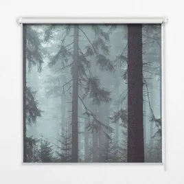 roleta-scienna-sufitowa-okienna-las-noca-100x100cm