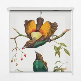 roleta-wewnetrzna-scienna-ptaki-na-galezi-50x50-cm