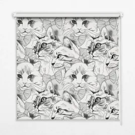 roleta-wewnetrzna-scienna-rysowane-koty-100x100-cm