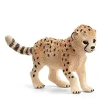 mlody-gepard