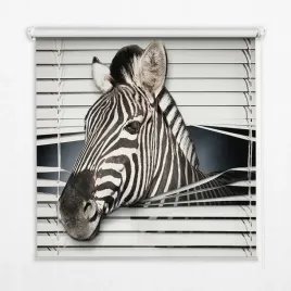 wolnowiszaca-foto-roleta-okienna-z-nadrukiem-zebra