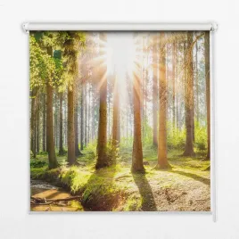 wewnetrzna-roleta-scienna-130x240-cm-slonce-drzewa