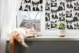wolnowiszaca-roleta-scienna-rysowane-psy-140x180cm-typ-montazu-inwazyjny