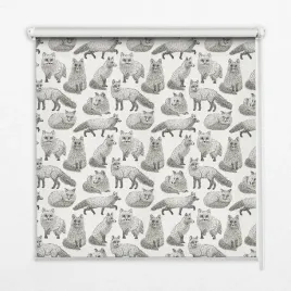 fotoroleta-duzy-wybor-wzorow-szare-lisy-140x180-cm