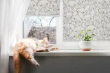 wolnowiszaca-roleta-scienna-rysowane-psy-110x240cm-typ-montazu-inwazyjny