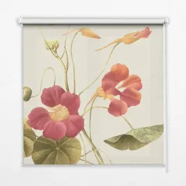 foto-roleta-z-nadrukowana-grafika-kwiat-80x140cm