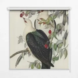 foto-roleta-zaciemniajaca-ptaki-na-galezi-80x140cm