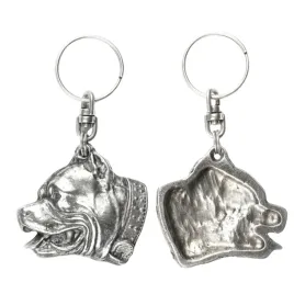 amerykanski-pitbulterier-pit-bull-american-pit-bull-terrier-pitbul-apbt