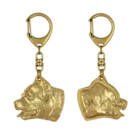 amerykanski-pitbulterier-pit-bull-american-pit-bull-terrier-pitbul-apbt