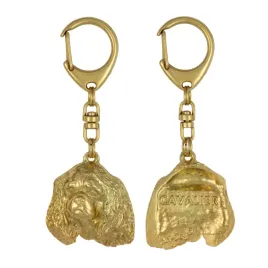 cavalier-king-charles-spaniel-i-pozlocony-brelok-do-kluczy-z-psem-w-pudel