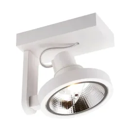 spot-lampa-sufitowa-master-reflektor-do-salonu-bialy