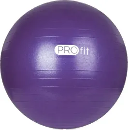 pilka-gimnastyczna-fitness-profit-55-cm-fioletowa-z-pompka-dk-2102