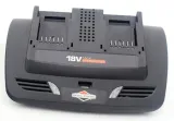 briggsandstratton-ladowarka-twin-1697084-stan-powystawowy