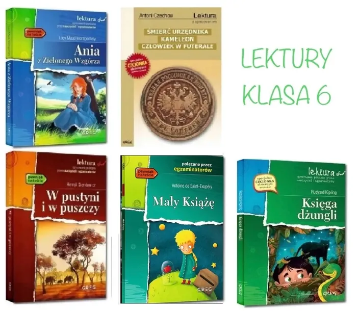 Lektury z opracowaniem - klasa 6 - ZESTAW 6 SZT