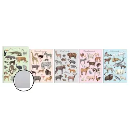 zeszyt-a5-16k-kratka-animals-okladka-pp-top-2000