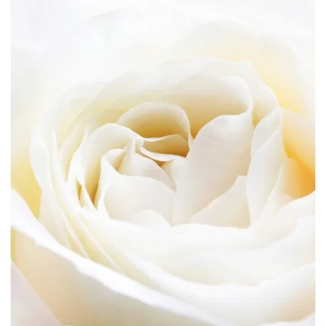 yodeyma-nicolas-white-50-ml-perfumy
